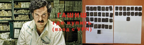 ECSTASY Бородино