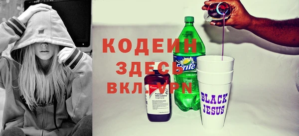 ECSTASY Бородино