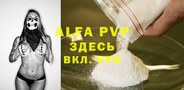 ECSTASY Бородино