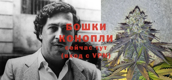 ECSTASY Бородино