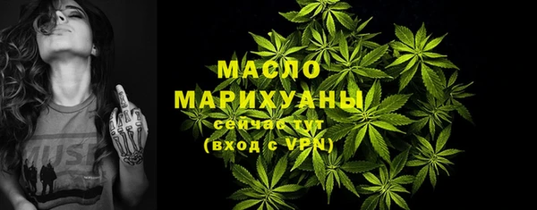 дживик Бронницы
