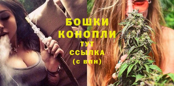 дживик Бронницы